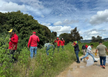 Reforestan el margen del Río Amarillo 