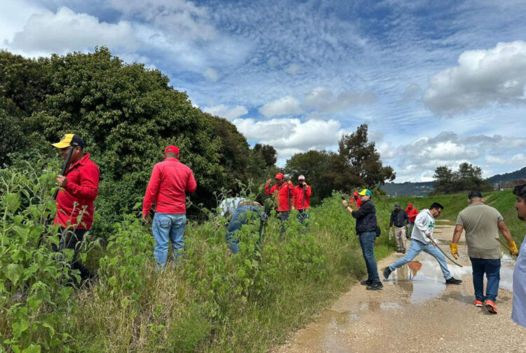 Reforestan el margen del Río Amarillo 