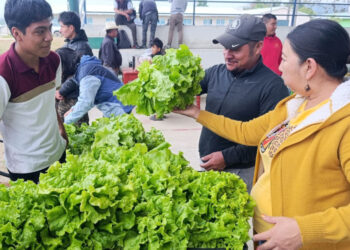 CECyT 43 La Laguna impulsa aprendizaje sustentable con su primera cosecha de lechugas