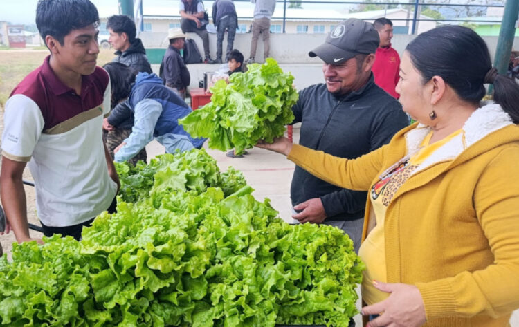 CECyT 43 La Laguna impulsa aprendizaje sustentable con su primera cosecha de lechugas