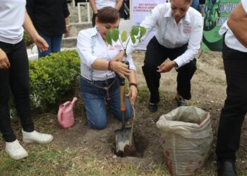Todo un éxito la reforestación en el CECyTE 40 ‘Las Aguilas’