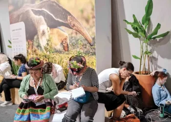 Avalan iniciativa contra las fake news climáticas