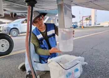 EU instala unidad de moscas en Tampico; combatirá al gusano barrenador