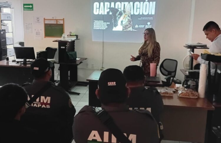 Capacitan a personal de la Fiscalía Ambiental sobre delitos cometidos en agravio de animales de compañía