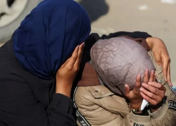 El genocidio israelí en Gaza continúa sin pausa pese a tregua: AI