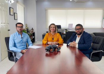 IAP Chiapas otorgó capacitación a Ayuntamientos con el curso Proceso Administrativo Sancionador