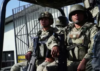 Murciélagos del Ejército Mexicano se suman al Plan Michoacán: ¿quiénes son y qué harán?