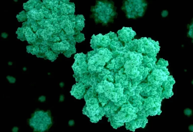 Brote de norovirus aumenta en Estados Unidos: ¿qué es?