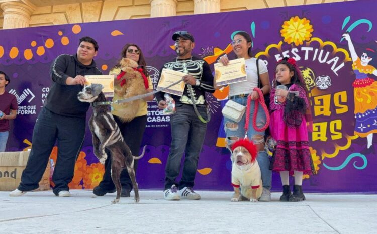 Color, alegría y ternura en la Exhibición de Mascotas Disfrazadas en San Cristóbal