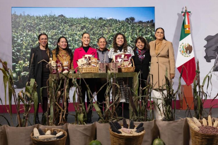 Se han destinado más de 7 mil 426 mdp en apoyo a 104 mil familias afectadas por lluvias: Presidenta