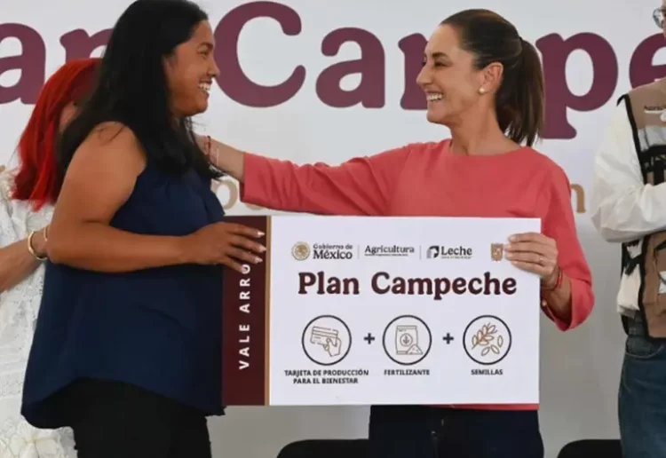 Sheinbaum presenta “Plan Campeche” para impulsar producción de arroz, leche y carne