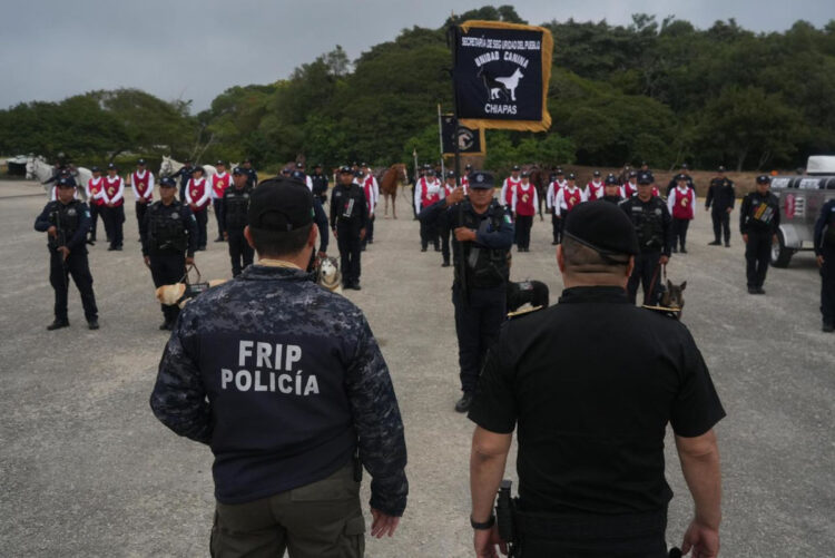 Secretario de SSP supervisa la capacitación de unidades equinas y caninas de la Guardia Estatal