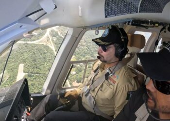 Seguridad que cuida a quienes somos y a quienes queremos, siempre: SSP