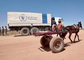 Ataques con drones cobran la vida de más de 100 personas en Sudán; entre ellas 63 niños