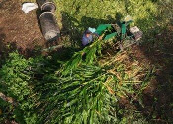 México sólo produce 44.1% de alimentos que consume; autosuficiencia alimentaria, cada vez más lejos