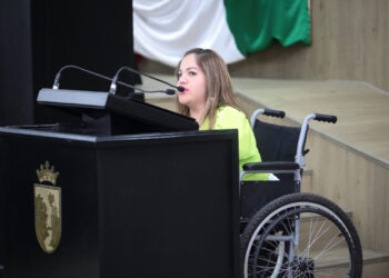 Conmemora diputada Luzma Castillo el Día Internacional de las Personas con Discapacidad