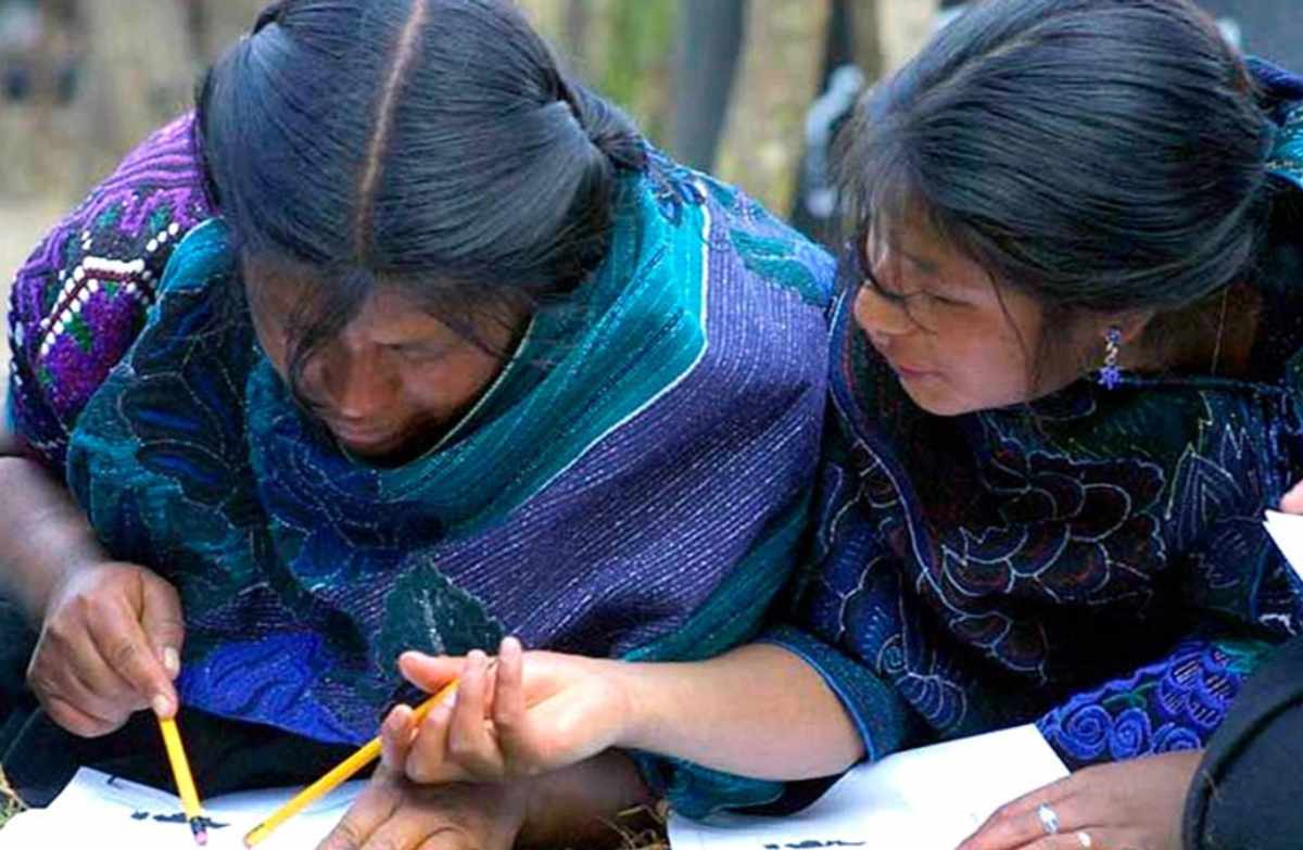 Lenguas originarias serán requisito para admisión en posgrados del Colegio de la Frontera Sur
