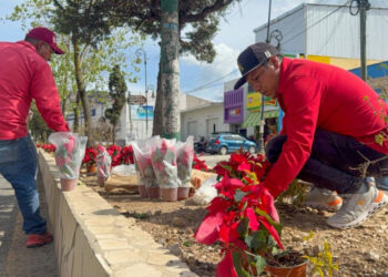 San Cristóbal embellece sus principales accesos con motivo de navidad