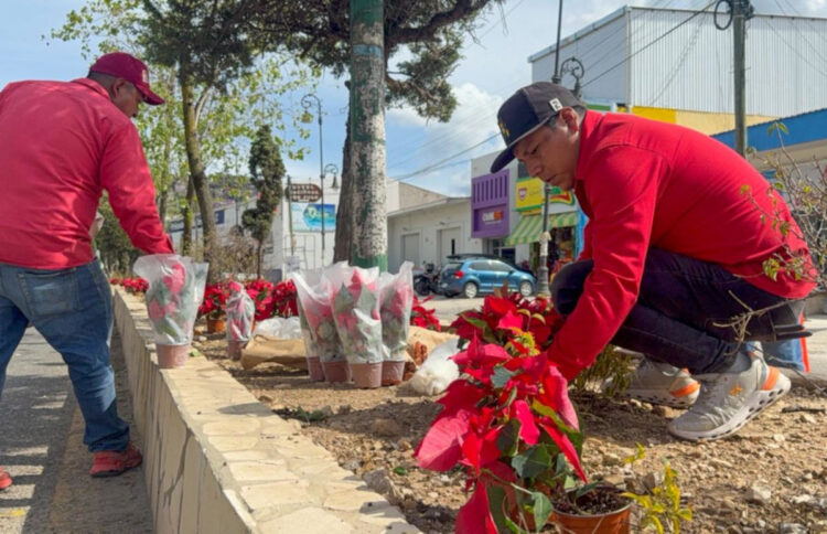San Cristóbal embellece sus principales accesos con motivo de navidad