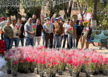 Artesanas y artesanos donan más de 400 nochebuenas 