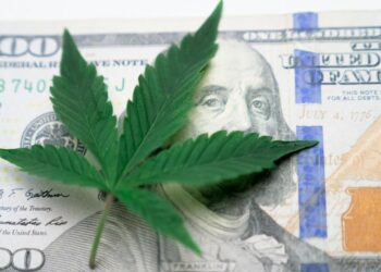 Mariguana gana terreno en Washington tras decisión de Trump