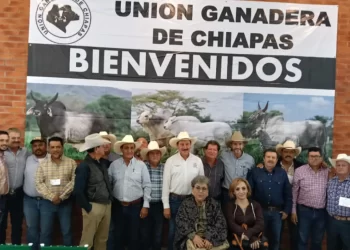 Convoca secretario del Campo a la unidad a productores chiapanecos