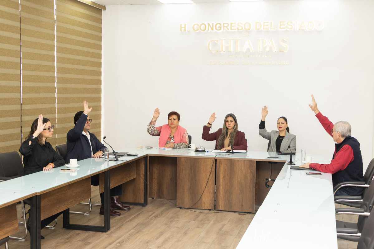 Nombra Comisión Permanente a Síndica del Ayuntamiento de Cintalapa de Figueroa