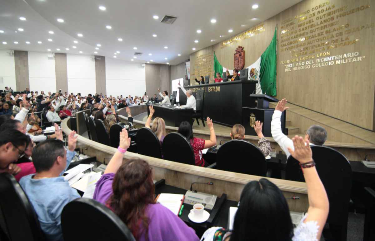 Endurece Congreso penas contra el “halconeo” para fortalecer la seguridad de la ciudadanía