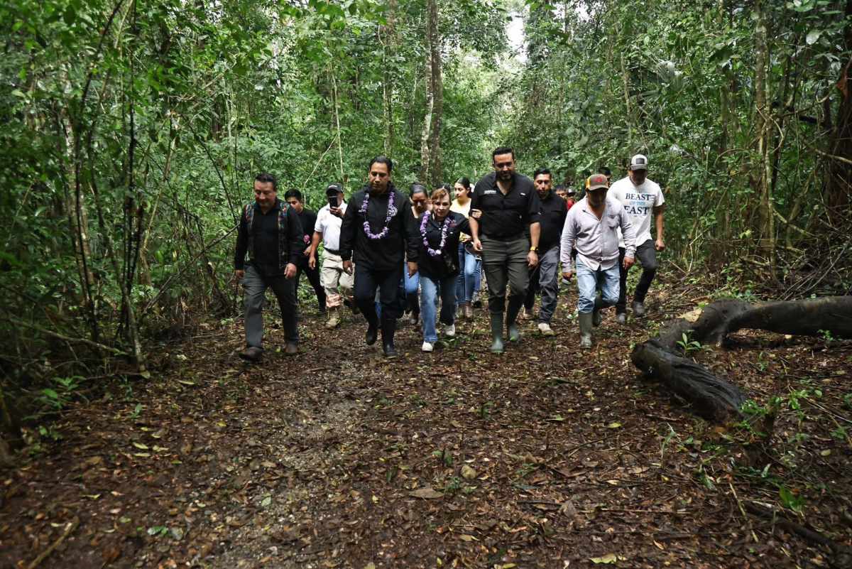 ERA impulsa protección ambiental y conectividad en Marqués de Comillas
