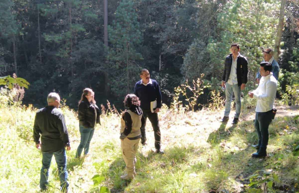 Ecología exhorta a proteger a los animales y prevenir incendios ante heladas en SCLC