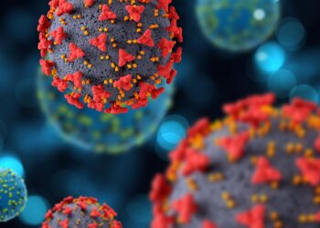 Virus Nipah: ¿qué es y por qué preocupa al mundo en 2026?