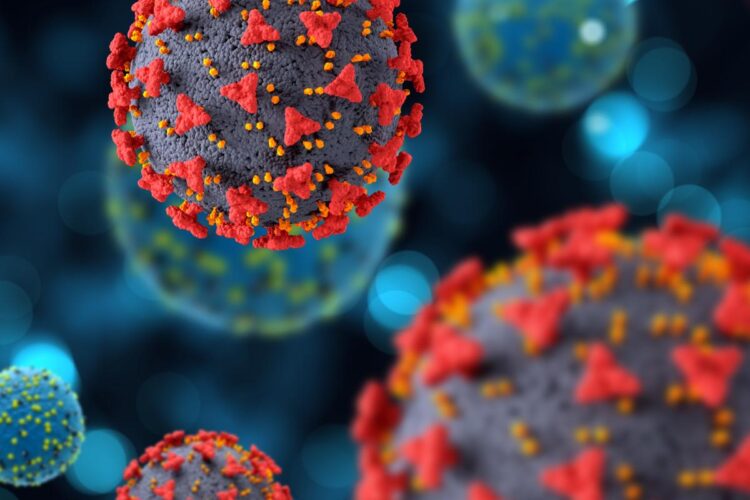 Virus Nipah: ¿qué es y por qué preocupa al mundo en 2026?