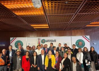 Diputados del PT, Morena y PVEM van por frenar abusos de aseguradoras