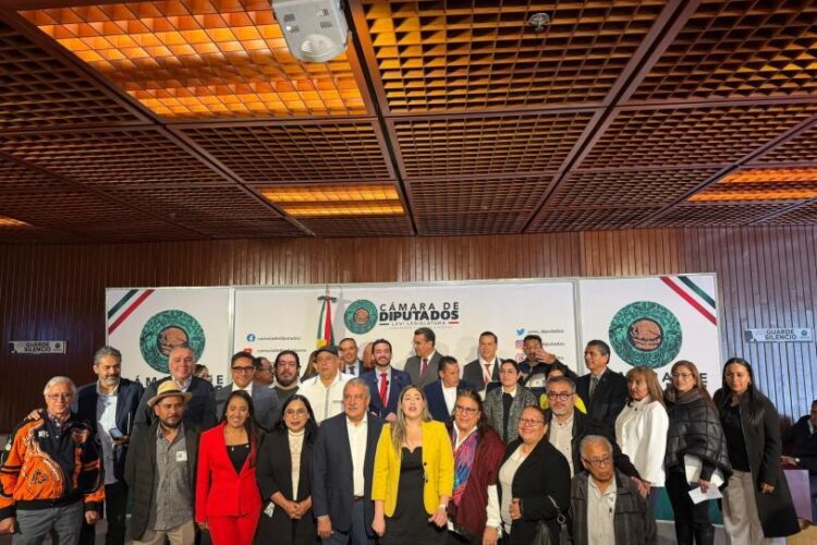 Diputados del PT, Morena y PVEM van por frenar abusos de aseguradoras