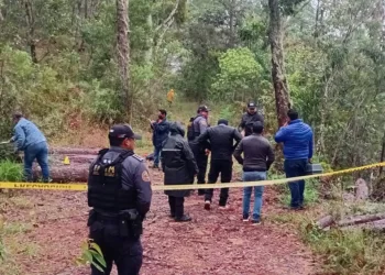 Inicia FGE investigación por delito de ecocidio en Cintalapa