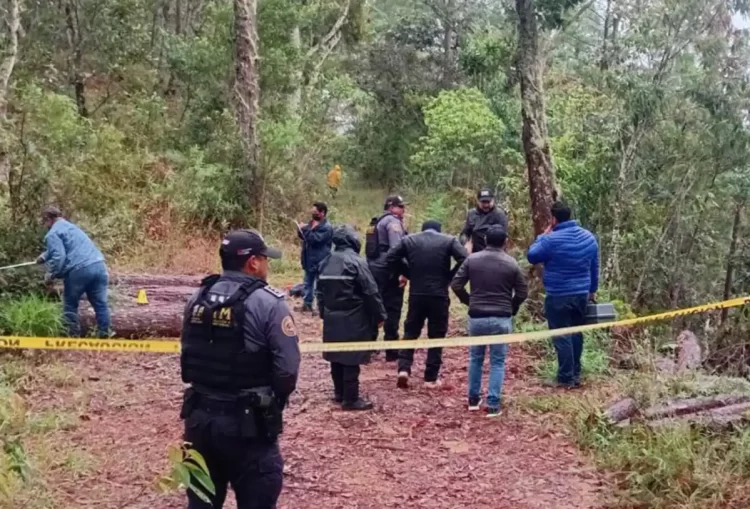 Inicia FGE investigación por delito de ecocidio en Cintalapa