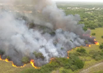 Incendio forestal en La Sepultura
