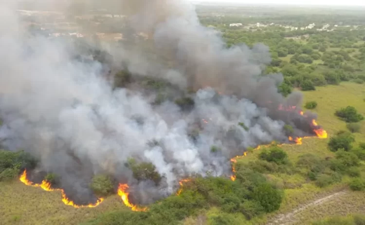 Incendio forestal en La Sepultura
