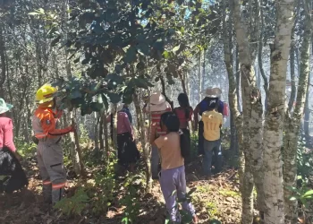 Protección Civil reporta incendio forestal controlado en Saclamantón