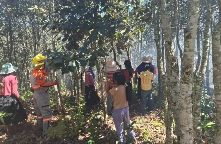 Protección Civil reporta incendio forestal controlado en Saclamantón