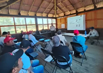 Fortalecen sanidad forestal en SCLC