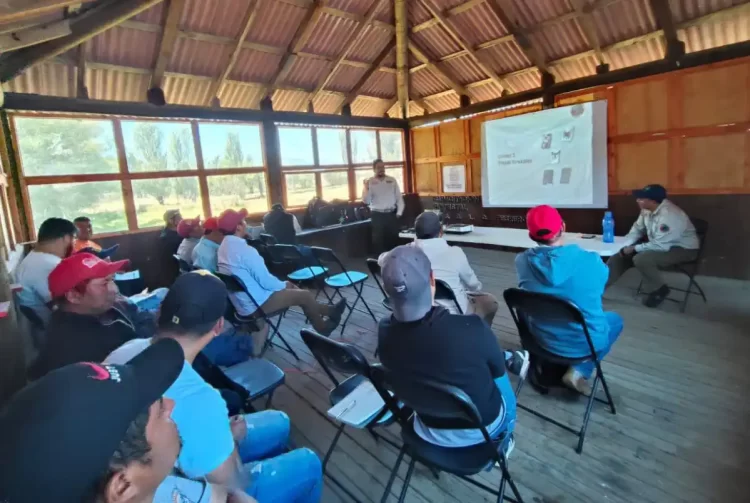 Fortalecen sanidad forestal en SCLC