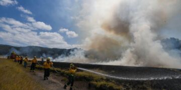 Suman 34 incendios forestales activos en México; la cifra más alta de la temporada