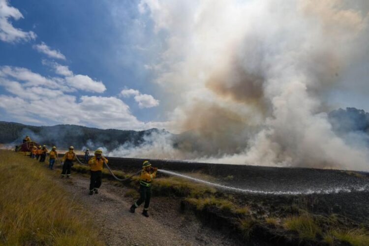 Suman 34 incendios forestales activos en México; la cifra más alta de la temporada