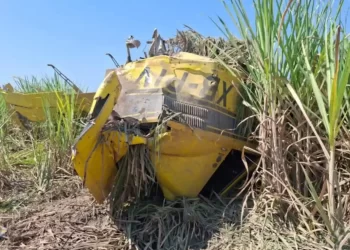 Grupo interinstitucional atiende reporte de desplome de una avioneta en Acapetahua