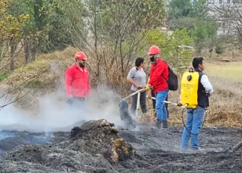 Acción oportuna evita propagación de incendio en humedal de San Cristóbal