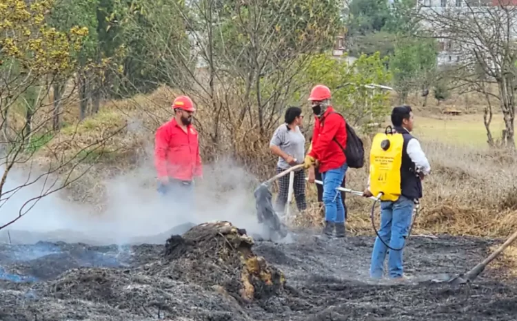 Acción oportuna evita propagación de incendio en humedal de San Cristóbal