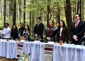 Reconocen a comunidad de La Albarrada por preservar 500 hectáreas de bosque en SCLC