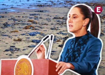 Tras derrame en Golfo de México, crean sistema de alerta para detectar fugas en la zona