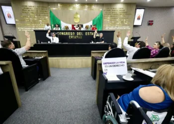 Chiapas hace historia con aprobación de “Ley Petrona”